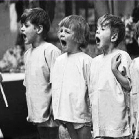 Μουσικό ταξίδι, Μ' άλλον troppo!