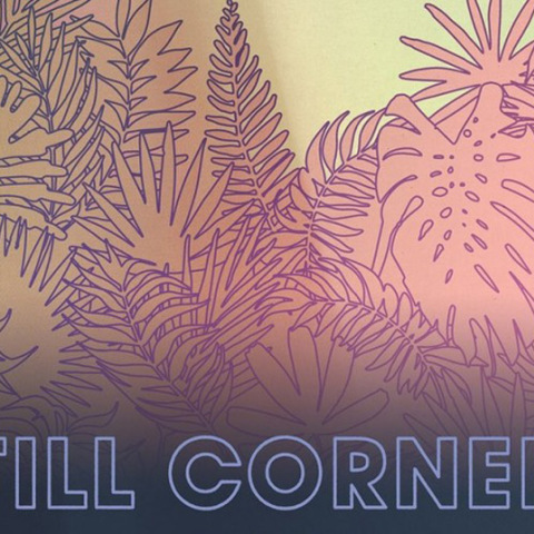 Still Corners