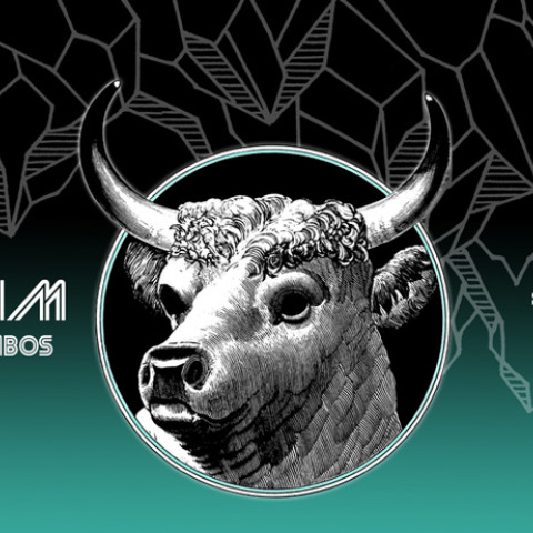 Citizen Jim & Treep Live