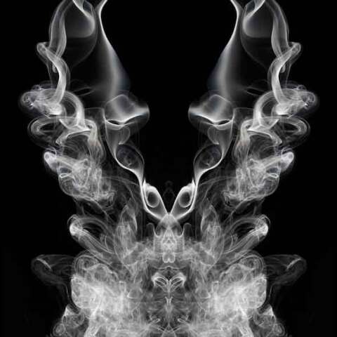 Stephan Brauchli, somata