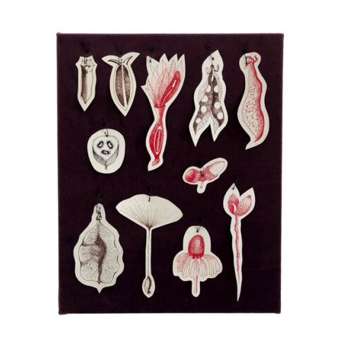 Silvina Der Meguerditchian, Please! Material and Immaterial Call