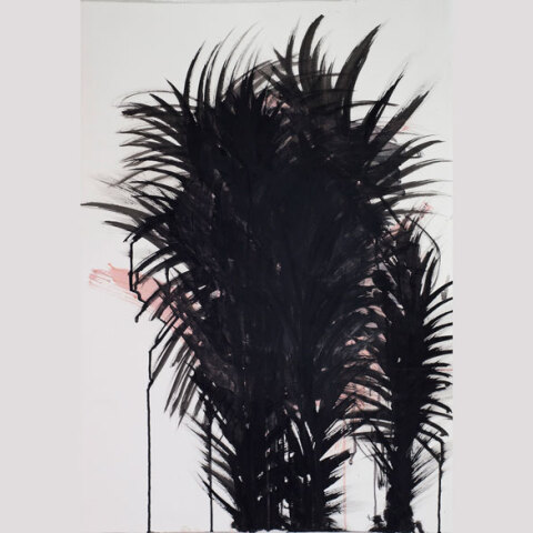 Γιώργος Βαβυλουσάκης, A truth about a lie