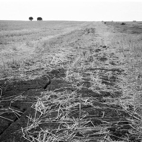 Μαρία Μπουρμπού, Επιφάνεια