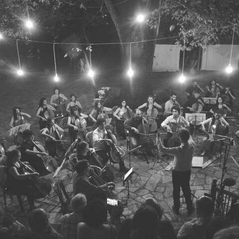 Αφιέρωμα στο Φεστιβάλ Βιολοντσέλου του Διεθνούς Φεστιβάλ Πηλίου