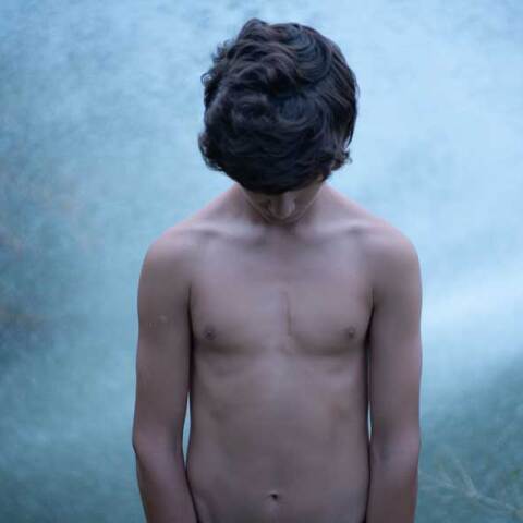 Δημήτρης Μυτάς, Dreamtigers