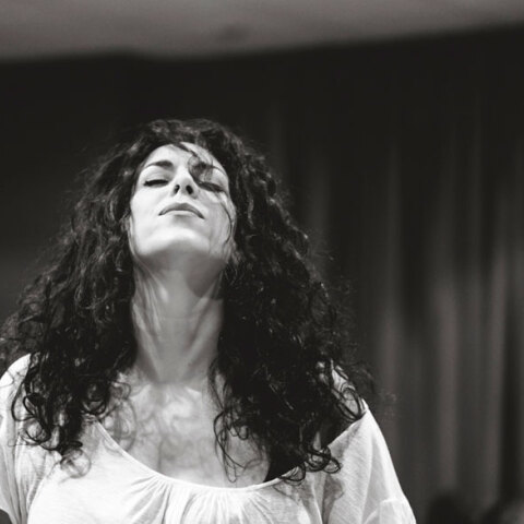 Πολυτίμη acoustic trio