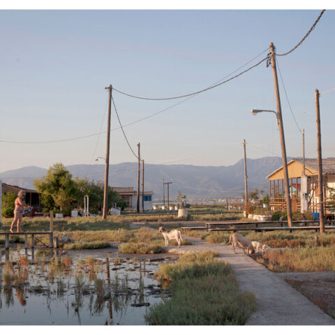 The Provinces | T.A.F / the art foundation