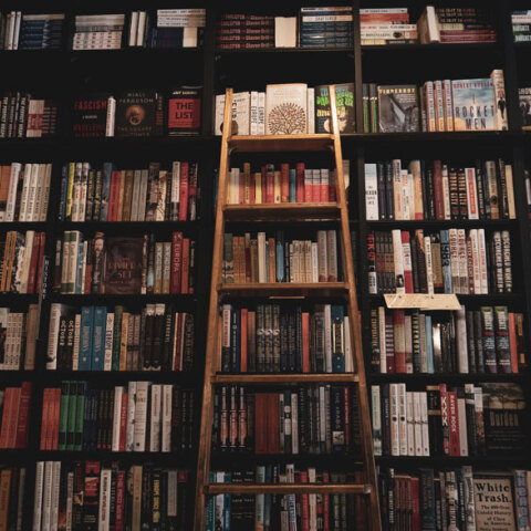 © Taylor Barber on Unsplash