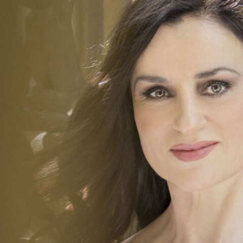 Καρυοφυλλιά Καραμπέτη