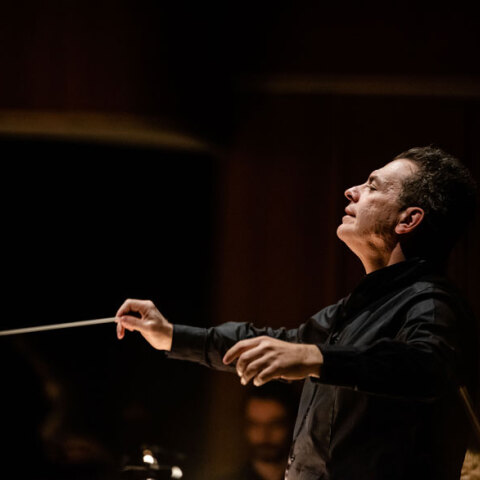 Μιχάλης Οικονόμου