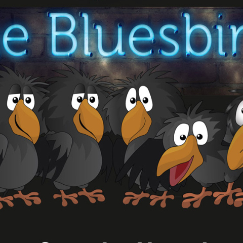 The Bluesbirds "rock n' blues hits from the 60's, 70's"  