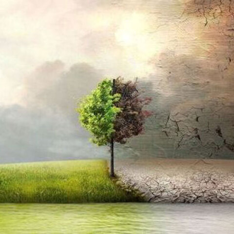 Μουσείο Γουλανδρή Φυσικής Ιστορίας / Ομιλία – συζήτηση "Global Green New Deal”