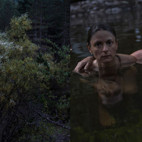 Χάρης Κακαρούχας, Natural Presence