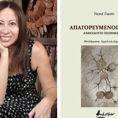 Νεσιέ Γιασίν