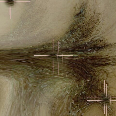 Shahryar Nashat, «Keep begging», Rodeo gallery