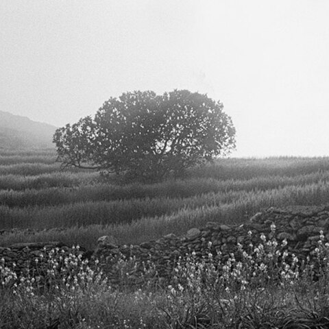 Ευγενία Κουμαντάρου. Ταπεινός Παράδεισος / Μουσείο Μπενάκη - Κτήριο Οδού Πειραιώς
