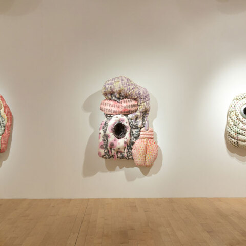 Ελένη Χριστοδούλου, όψη εγκατάστασης Same River Twice, Μουσείο Μπενάκη, 2019, οργάνωση Ίδρυμα ΔΕΣΤΕ και New Museum NY.