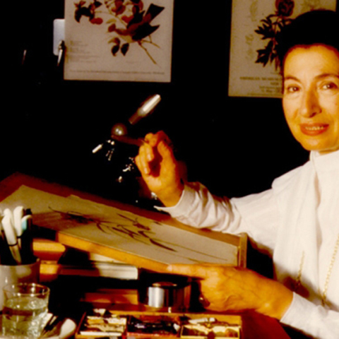 nikh goulandri ianos