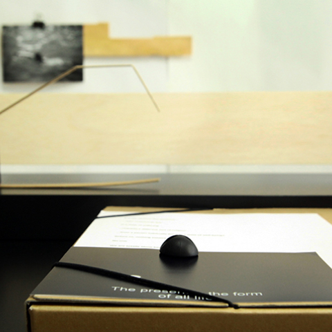 giorgos papadatos Stages for Minor Actions