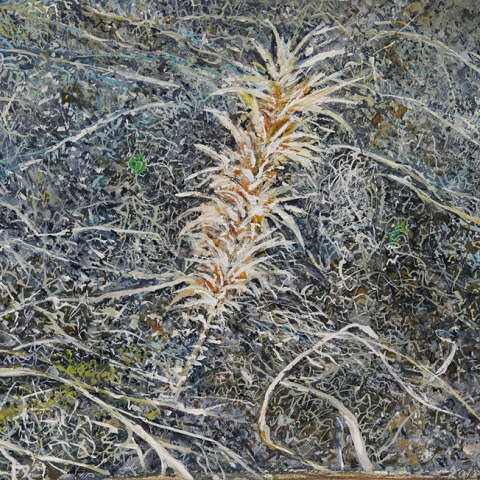 maria vasilaki gallery 7