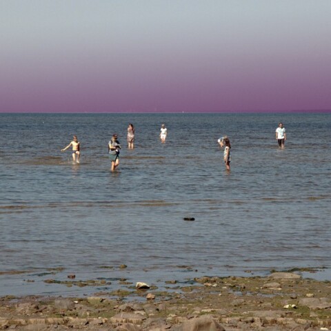 ©Nova Melancolia Gallery