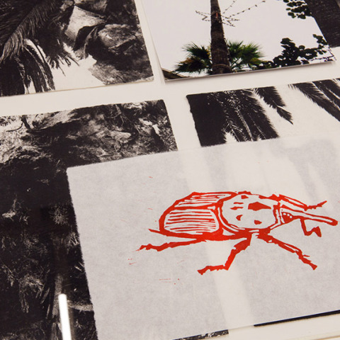 Botanical Rhapsody: Ομαδική έκθεση στο Παλαιοπωλείο ΜΑΡΤΙΝΟΣ