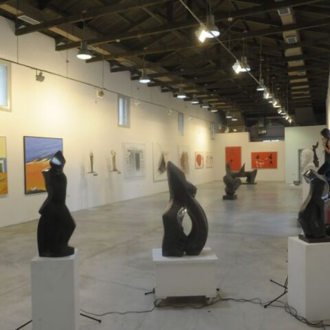 Symbiosis: Δύο παράλληλες εκθέσεις στο Κέντρο Εικαστικών και Εφαρμοσμένων Τεχνών