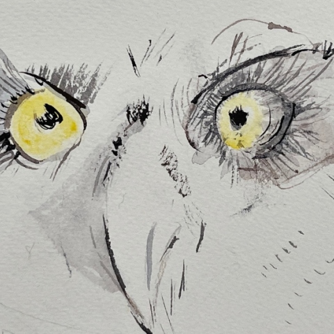 Μάρω Μιχαλακάκου