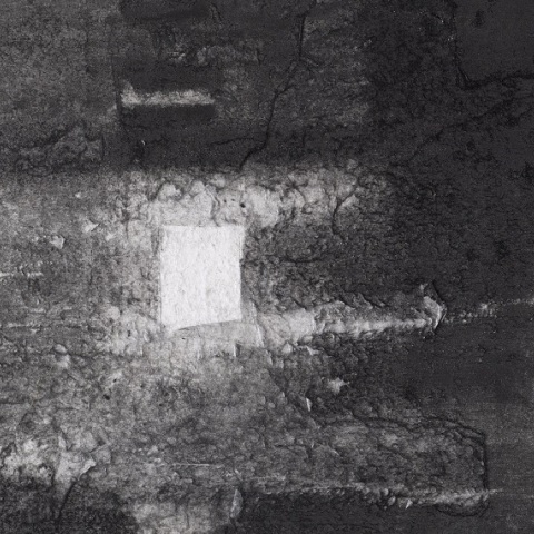 Το έργο INSIGHT V.