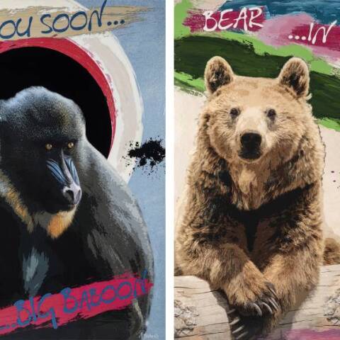 «Animal Teaser» της Marielle Pteroudis στην Αίθουσα Τέχνης Αθηνών