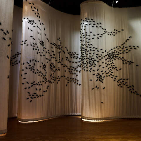 Capten: «Cockroaches – Κατσαρίδες» στο ΠΟΛΥΤΡΟΠΟΝ