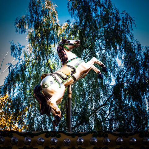 Φωτογραφικά Ζεύγη 2022 στην Ελληνοαμερικανική Ένωση: Σπύρος Πολυτάρχου και Γιάννης Ζήσης