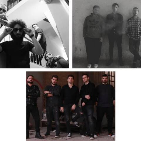 Reversed, Drunk Jackals, Birds of Vale