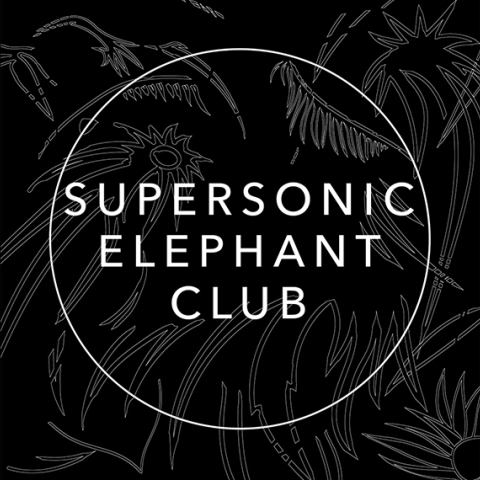 Supersonic Elephant Club: Αλέξης Μαστιχιάδης & Νίκος Αντωνόπουλος στο ΚΕΤ