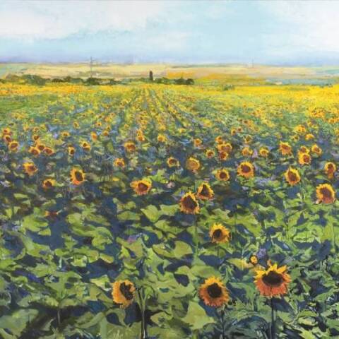 Μίλτος Γκολέμας, Το χατίρι του ήλιου, Λάδι και άμμος σε καμβά