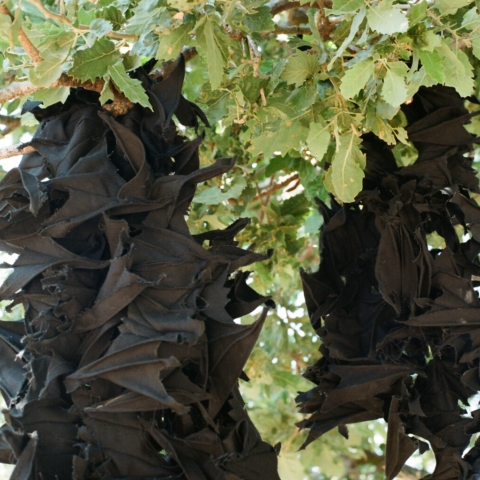 Ρακόρ / Continuity: Έκθεση της Ντόρας Οικονόμου στο Ολύμπια