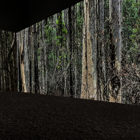 Δανάη Στράτου, «Burning Issues - Merimbula» στο Κέντρο Τεχνών Δήμου Αθηναίων