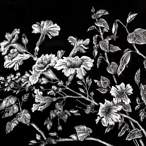 Μελάνι σε χαρτί 4: Οι γραφές της τέχνης στη Chili Art Gallery