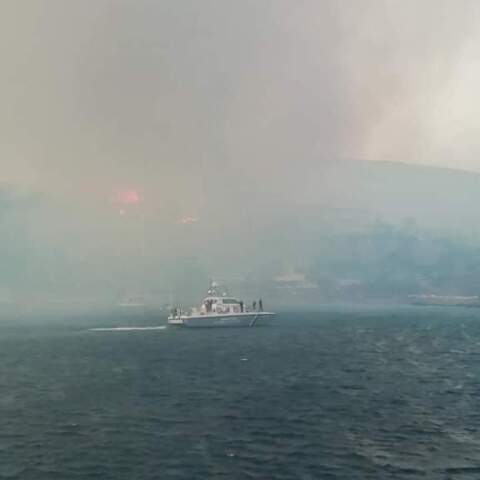 Φωτιά στη Σάμο  