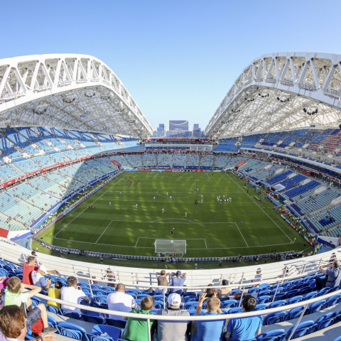 fisht_olympic_stadium_2017.jpg