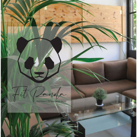 fit-panda-789.jpg