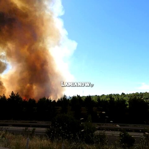 Φωτιά δίπλα στην Εθνική Οδό Αθηνών - Λαμίας στο ύψος του Μαρτίνου