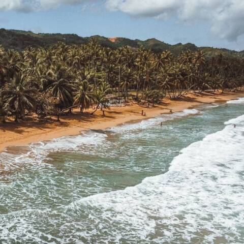 Άγιος Δομίνικος