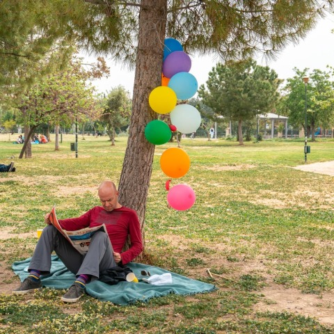 Ακαδημία Πλάτωνος © Θανάσης Καρατζάς