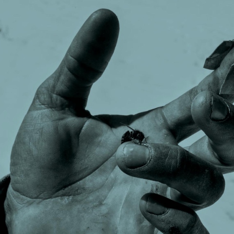 Ανθρώπινο χέρι