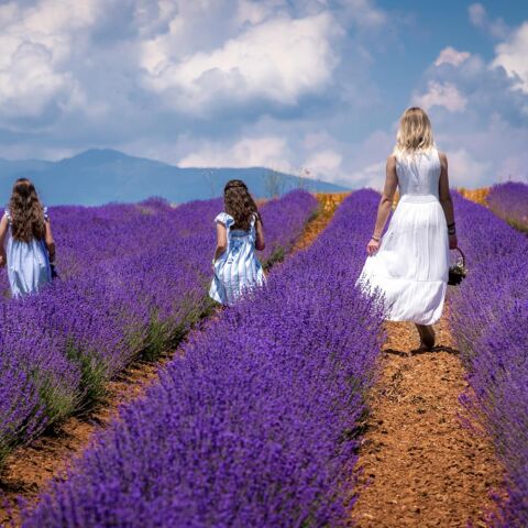 Μελενικίτσι, Σέρρες