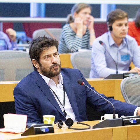 Αλέξης Γεωργούλης