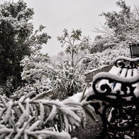Σε λευκό τοπίο έχει μετατραπεί και η περιοχή των Ιωαννίνων
