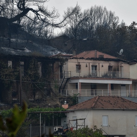 Φωτιές: Στιγμιότυπο από την επόμενη ημέρα της φωτιάς στη Γορτυνία