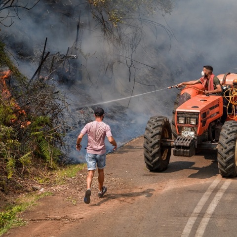 Στιγμιότυπο από επιχείρηση κατάσβεσης στην Ηλεία